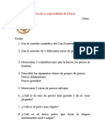 Examen de La Especialidad de Perros