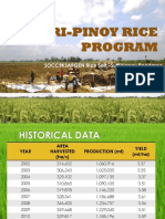 Roadmap For Philippine Rice