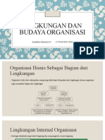 Organisasi dan Lingkungan