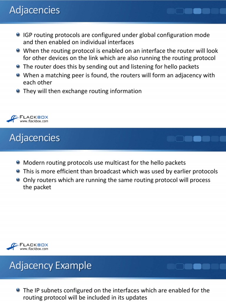 IGP Routing Protocols and Adjacencies | PDF | Routing | Router (Computing)