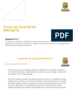 Flujo de Caja de Un Proyecto