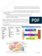 Neuro Epilepsia