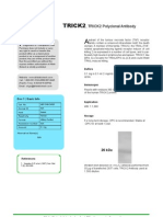 TRICK2 Polyclonal Antibody