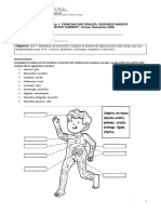 Guía-Ciencias-2°-1.pdf