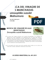 21-07-2020 Presentación de La Moscas de La Fruta - Drosophila Suzukii