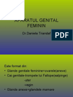 Aparatul Genital Feminin