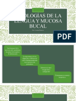 Patologías de La Lengua y Mucosa Bucal