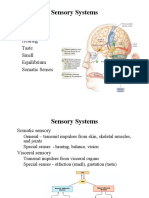 Sensory Systems: Vision Hearing Taste Smell Equilibrium Somatic Senses