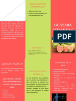 GUAYABA 2.pdf