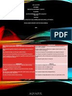 AP1-AA2-EV07 presentacion brief cliente (1)