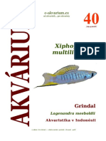 Akvárium 40 PDF