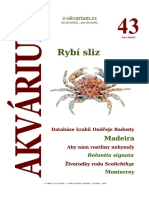 Akvárium 43 PDF