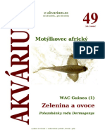 Akvárium 49 PDF
