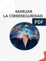 Lectura_Ciberseguridad.pdf