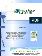 17.- VIGILANCIA AMBIENTAL