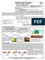 Guia 3 Biologia PDF