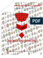 Catalogo General de Insignias Scout Agosto 2013 Final PDF