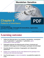 Topic 1 Mendelian Genetics: Patterns of Inheritance