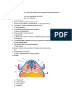 Prueba 2018 Resuelta