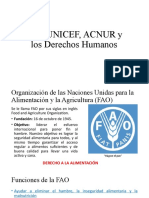 FAO, UNICEF, ACNUR y Los Derechos Humanos