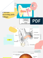 Referat Anatomi, Fisiologi Dan Penyakit Tersering Pada Telinga