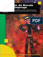 Transição Da Escola para o Emprego PDF