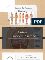 Sistemas Del Cuerpo Humano - I - 2020 PDF