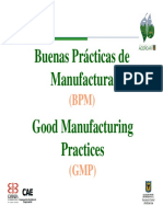 Buenas Practicas de Manufactura PDF