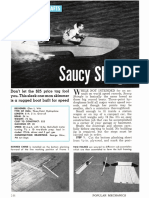 Saucyshingle PDF