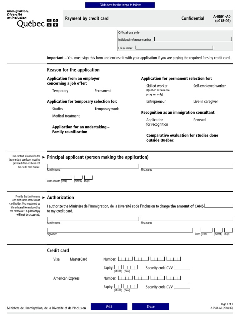 Reason For The Application: Payment by Credit Card Confidential | PDF ...