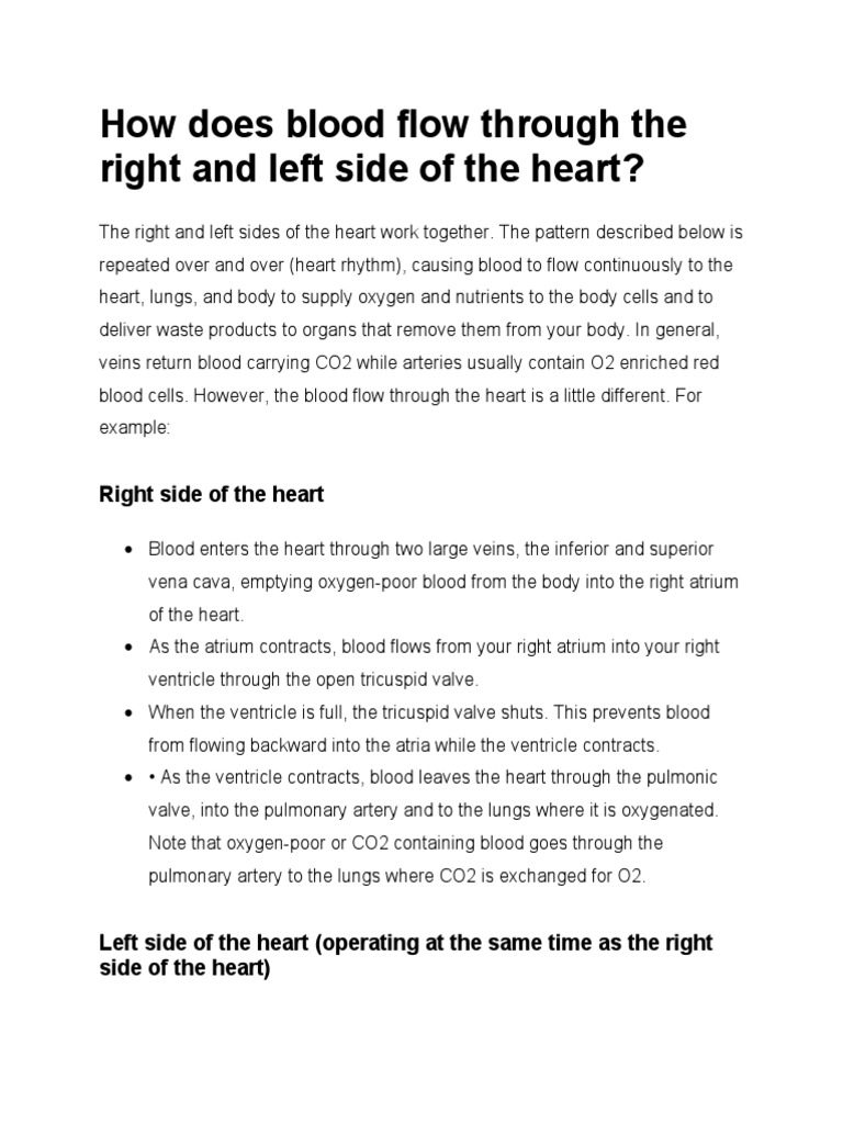 How Does Blood Flow Through The Right and Left Side of The Heart? PDF