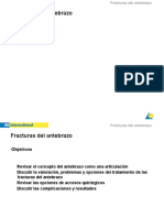 8 FX - Antebrazo PDF