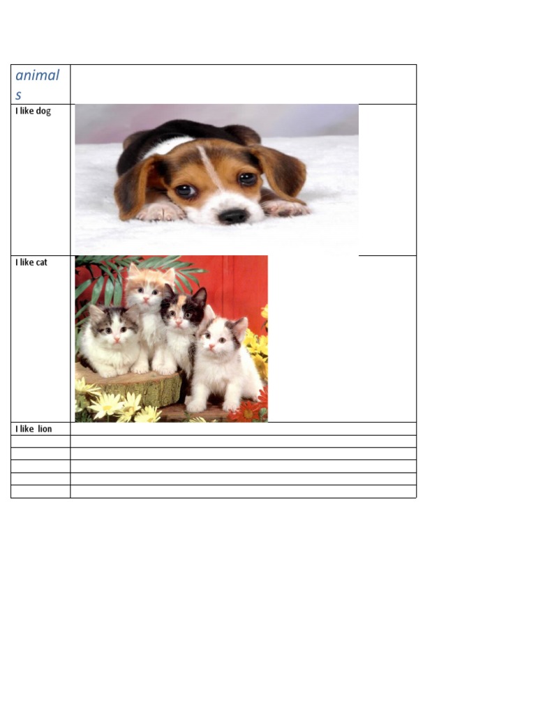 Animals | PDF