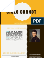 Ciclo Carnot Verdadera