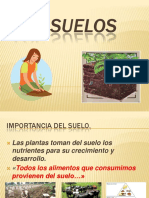 lossuelos-140513105227-phpapp02.pdf