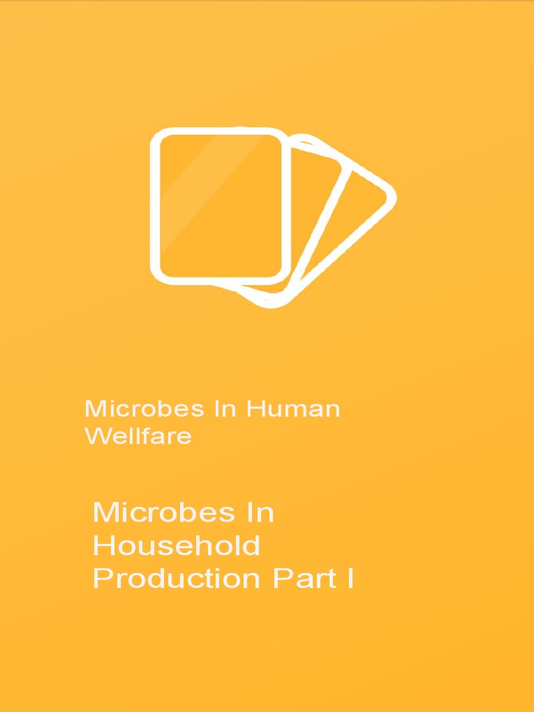 Microbes in Household Products Part I PDF PDF Cheese Lactic Acid