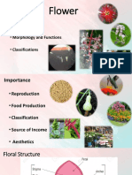 Flower: Importance Morphology and Functions Classifications