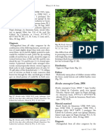 Costa, 2006. Relationships and Taxonomy of The Killifish Genus Rivulus 29-48 PDF