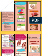Planificacion Familiar Trptico PDF