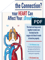 HEART N LUNGS