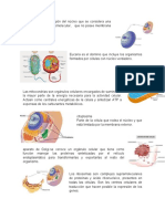 partes de la celula