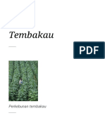 Tembakau - Wikipedia Bahasa Indonesia, Ensiklopedi