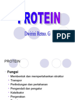 Protein + Enzim S1