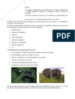 Consecuencias Del Uso Del Coltán PDF