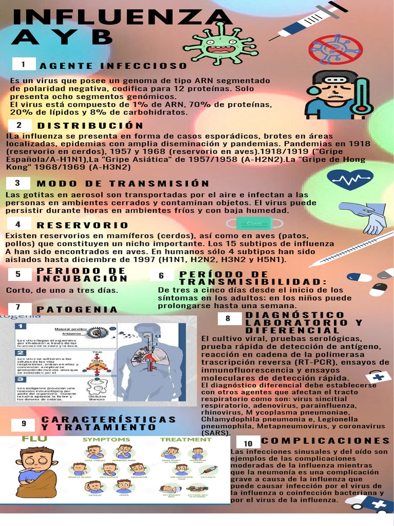 Diferencias entre Influenza A y B | PDF | Influenza | Virus