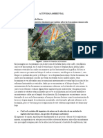 ACTIVIDAD AMBIENTAL.docx