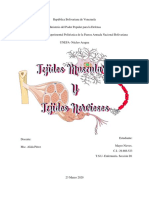 Tejidos Musculares y Tejidos Nerviosos.