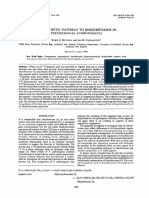 Biosynthetic Pathway to Rhizobitoxine in Pseudomonas andropogonis