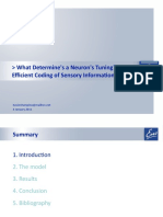 What Determine's A Neuron's Tuning? The Efficient Coding of Sensory Information