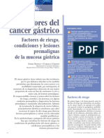 Precursores Del Cáncer Gástrico: Factores de Riesgo, Condiciones y Lesiones Premalignas de La Mucosa Gástrica